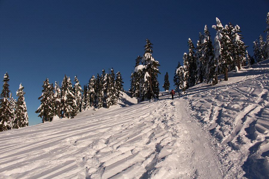 How can you tell that it's after a long weekend?