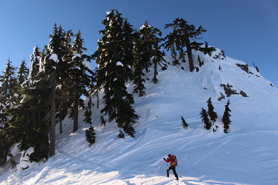We ditched our skis right at the first tree beside the broken trail.