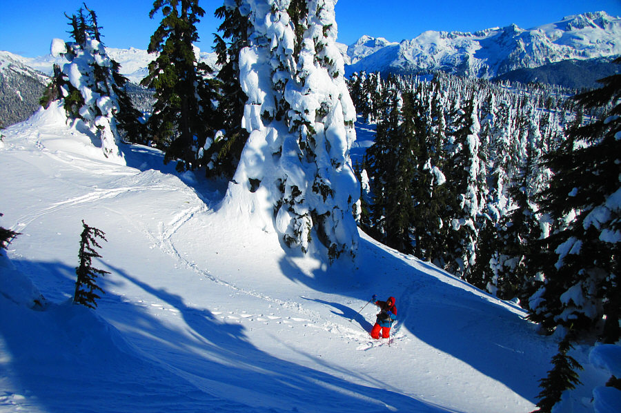 Hmm...maybe I should have kept my skis on...