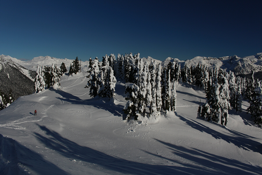 Oh, we're still going to Elfin Lakes??