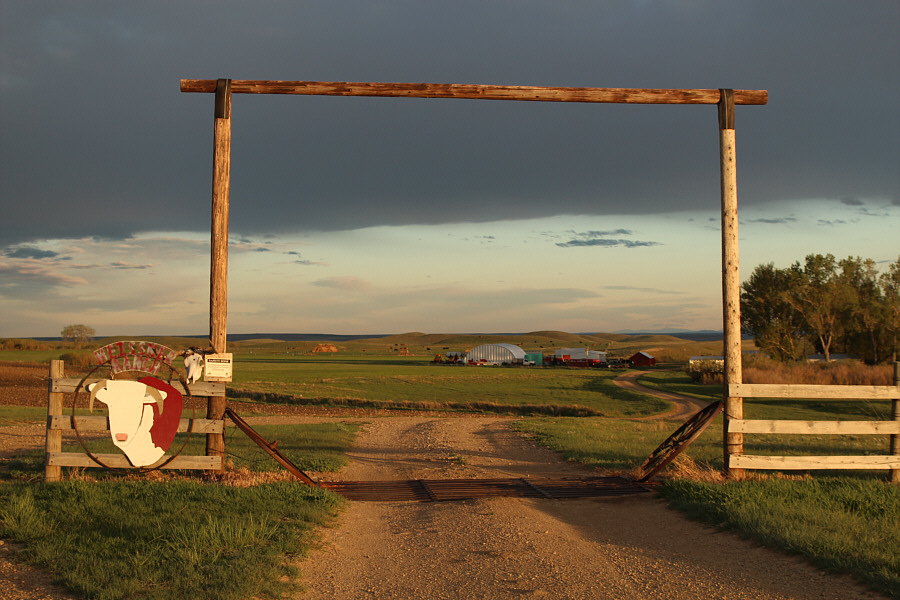 Look out for some dogs in the yard, and ask for Dan!