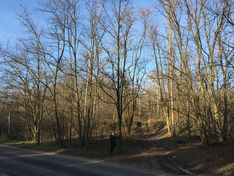 If only there was enough snow to ski up here...