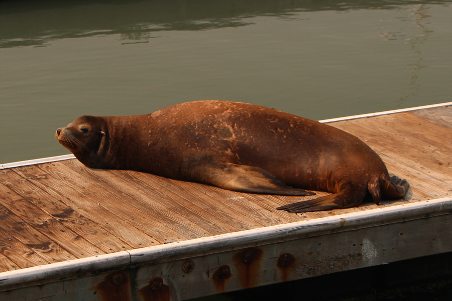 Kinda like how I sleep...