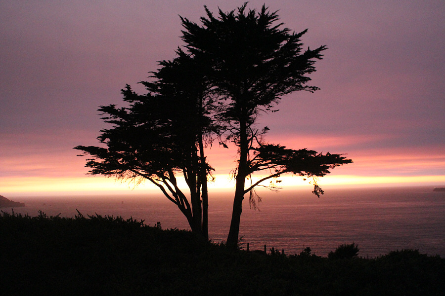 This makes up for the horrible 3-hour commute over the Bay Bridge in the morning!