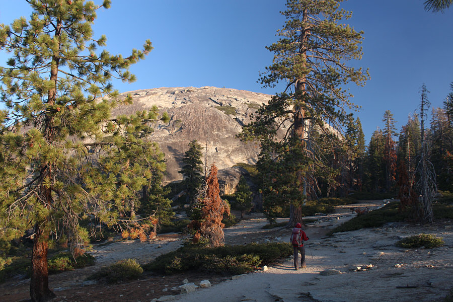 Up ahead, the trail joins an old road which still looks quite driveable...in case you wanted to make this easy hike even easier!