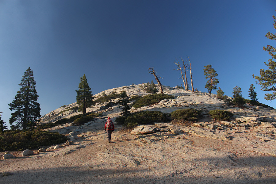 No scrambling necessary!