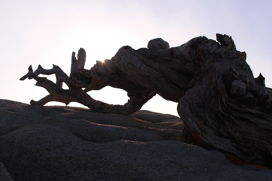 Reminds me of a man who has fallen down and can't get up...