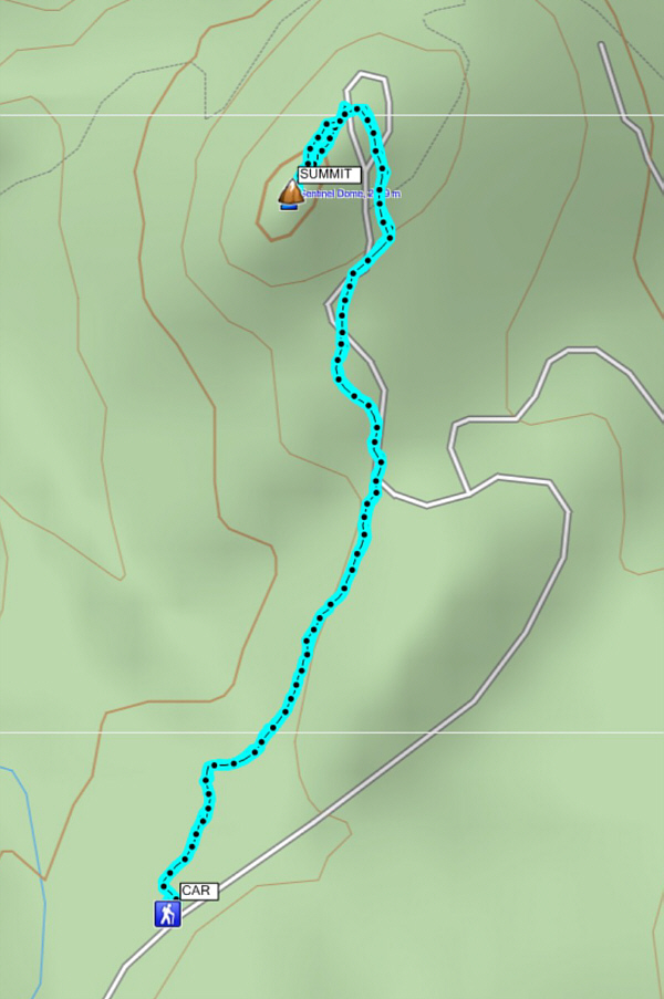 Hardly even qualifies as a half-day hike!