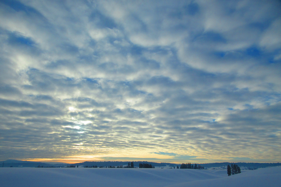 Beautiful shot by Zosia!