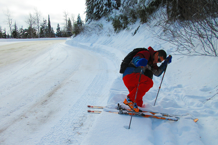 The crux of the trip was getting through the tangle of bushes in front of me!