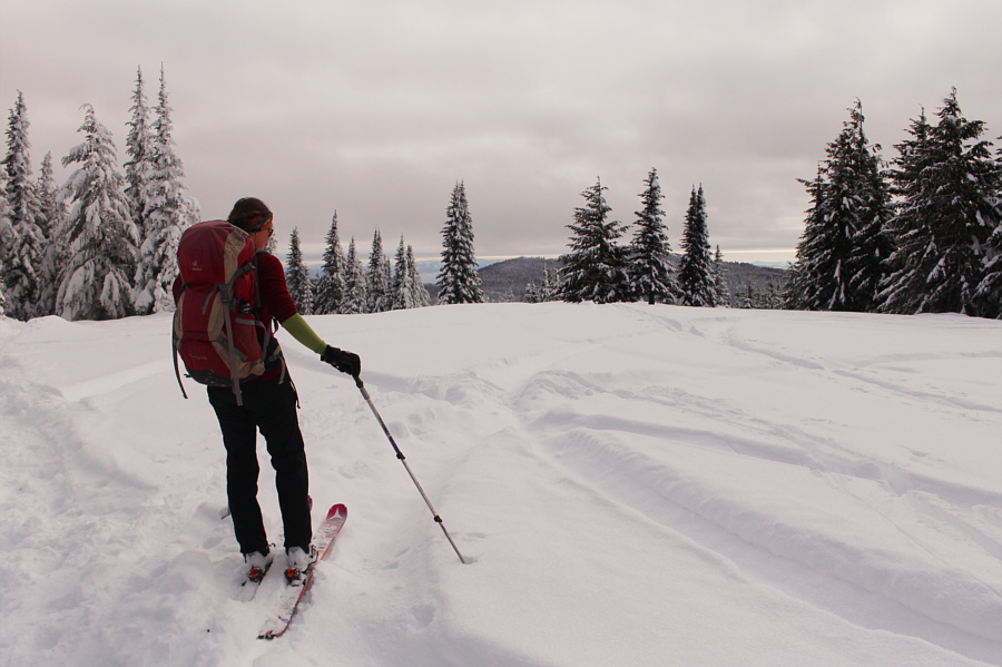 Can I count this as a summit??