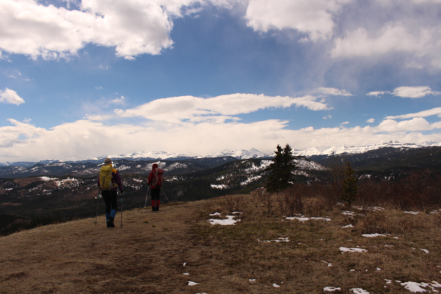 This was after we tried to head through the unremarkable forest to the north.