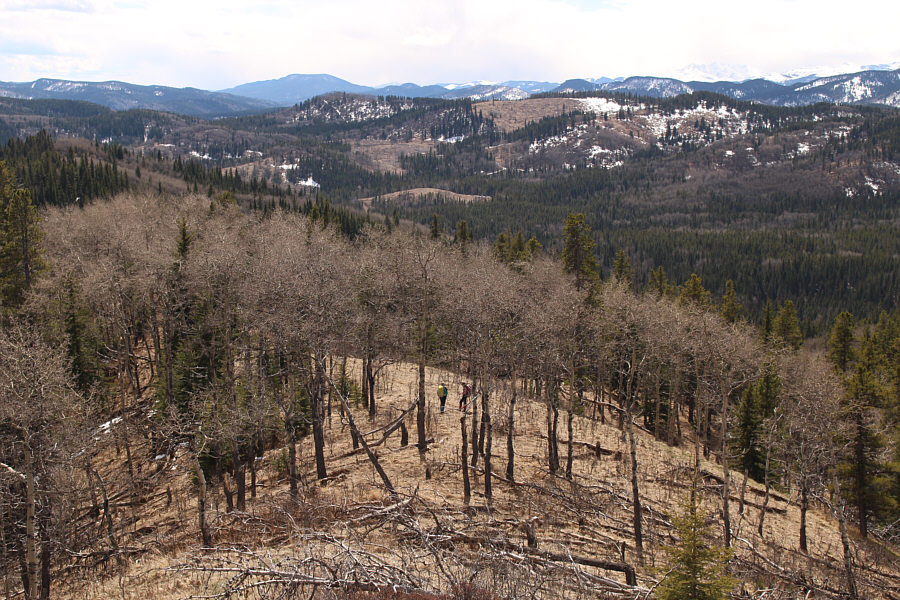 It's like getting twice the scenery for the price of one!