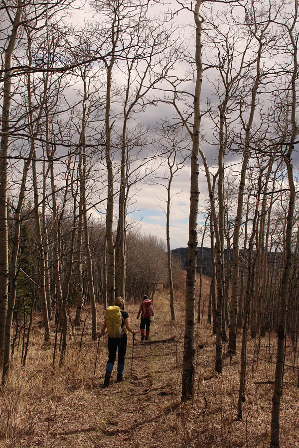 Pleasant afternoon for a walk!