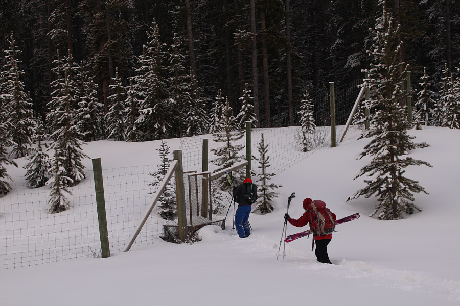 Pliers would be helpful to open the gate...