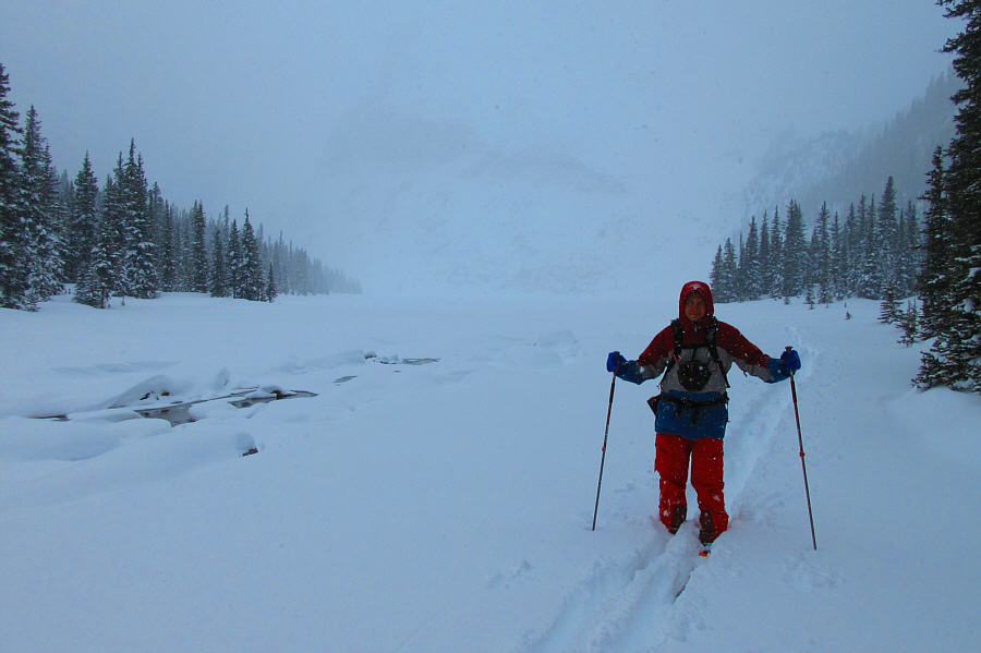 Sigh...another snowy day in Banff National Park.