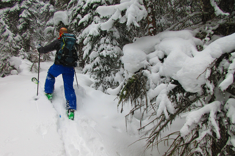 I don't think we're on a trail anymore...