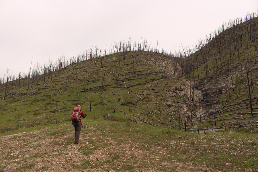 Trust me. Stay out of the canyon!