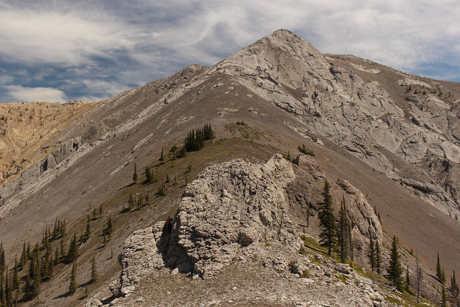 Zosia is checking for a possible route to the left. The correct route goes to the right.