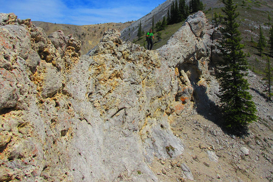 Something for everyone here!