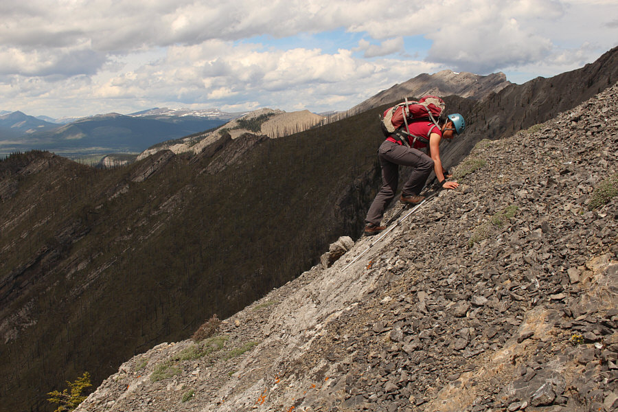 Looking good, Zosia!