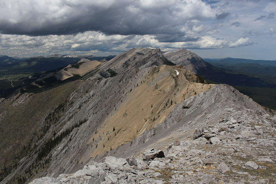 I think I'm done with exploring all the ridges along here!