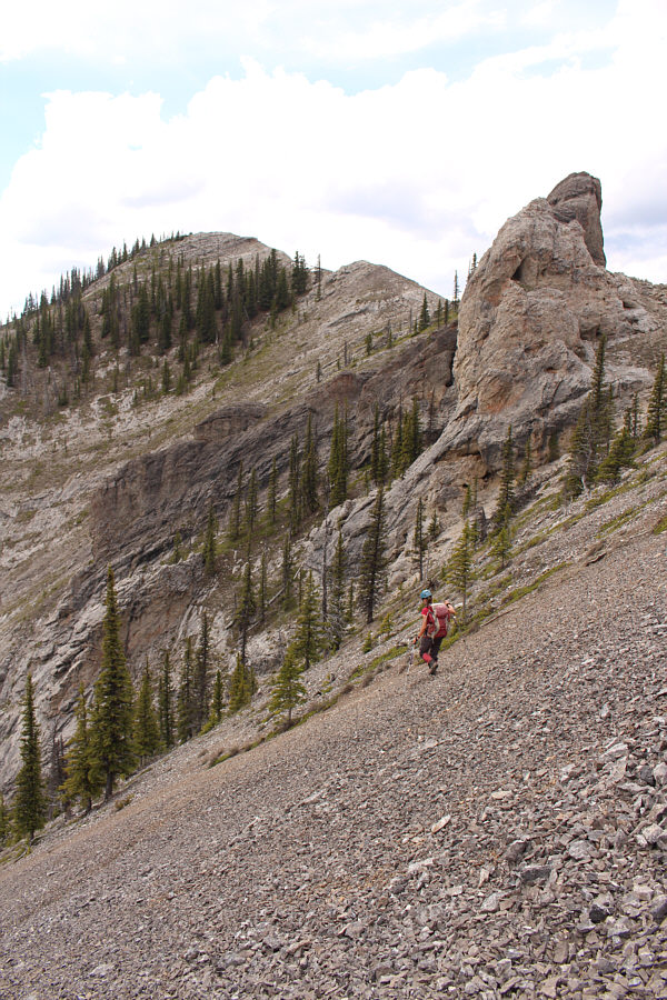 Now this scree rocks!