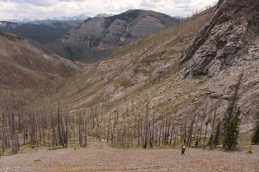 It would suck royally to come up this way!