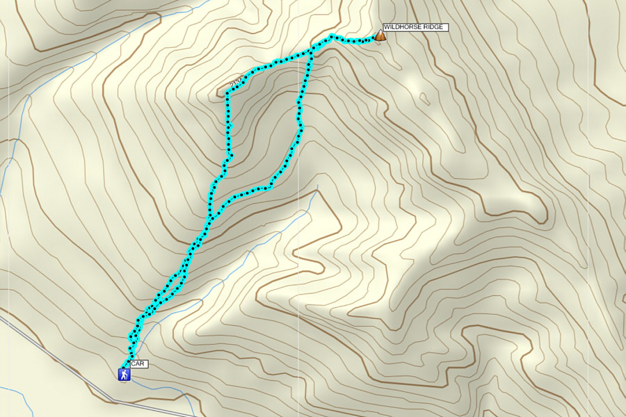 Sorry, this trip just isn't spicy enough to call it Kimchi Peak!