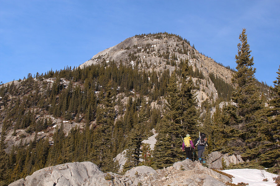 Time to get your scrambling game face on!