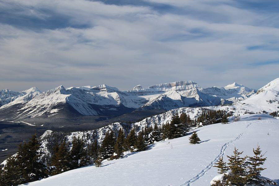 Dreaming about Balfour...