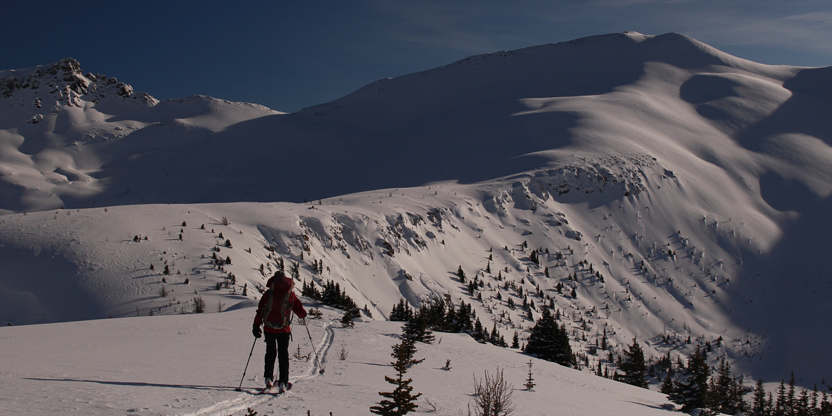 My favourite view of the day.