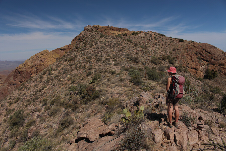 I think we'll make it!