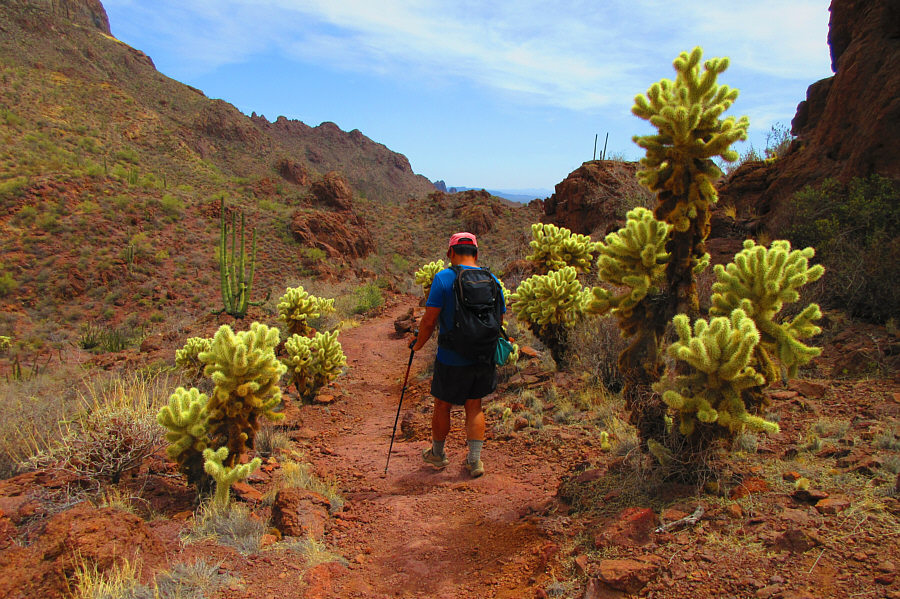 These have a nasty habit of getting stuck to your shoes and feet!