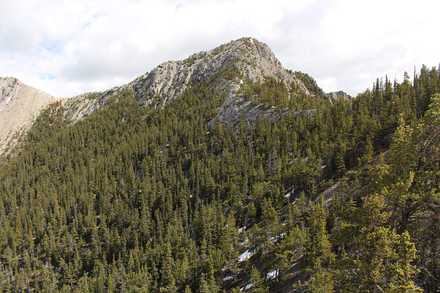 Looks pretty straightforward from here!