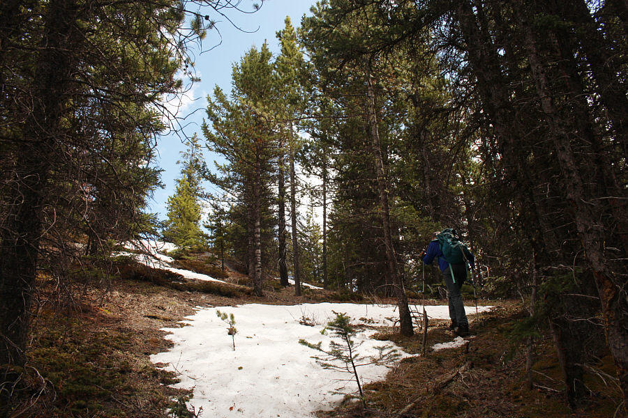 Do you know where you're going, Wil?