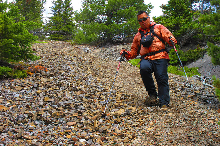 Too bad this doesn't go all the way down to the highway!