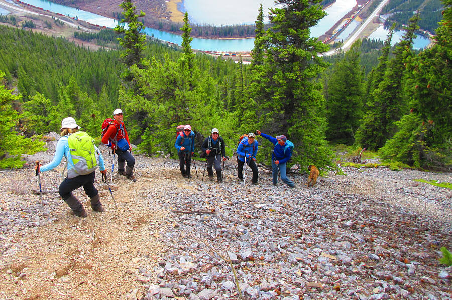 Did the dog scree surf too?