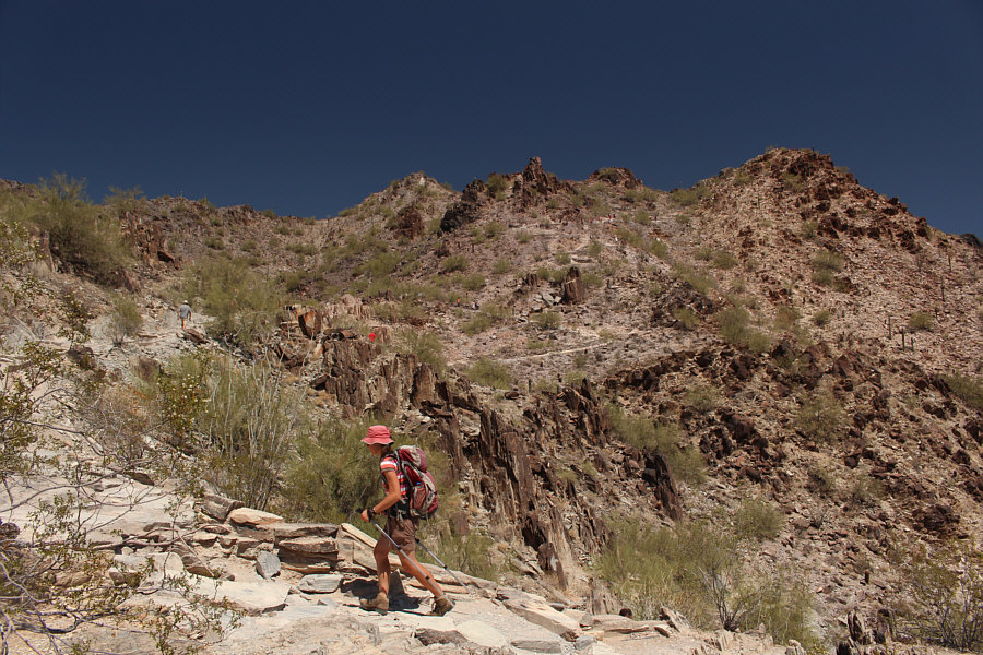 It's like following the yellow brick road!