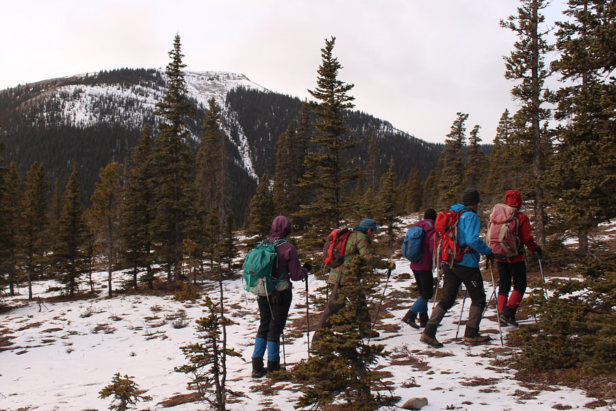 Much more solitude here than up there!