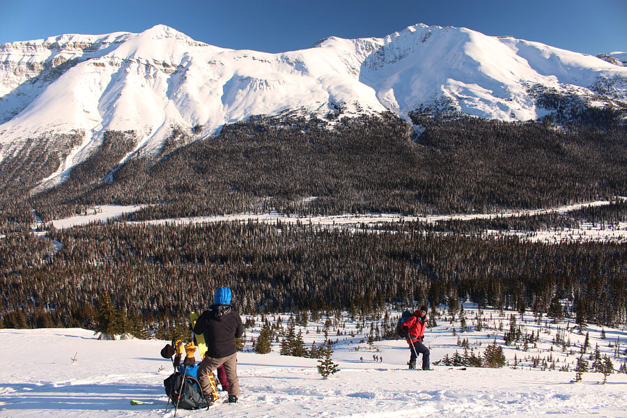 Getting first tracks!