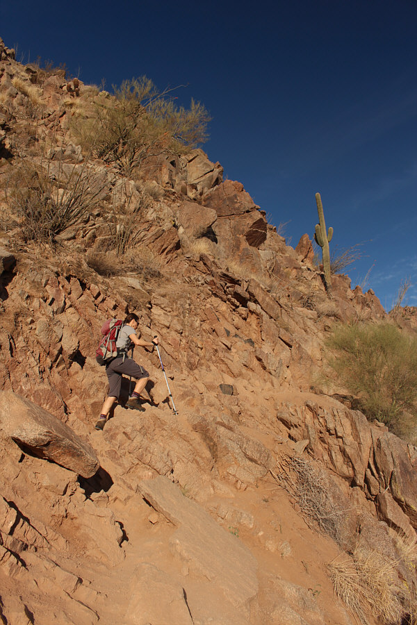 Zosia is going strong!