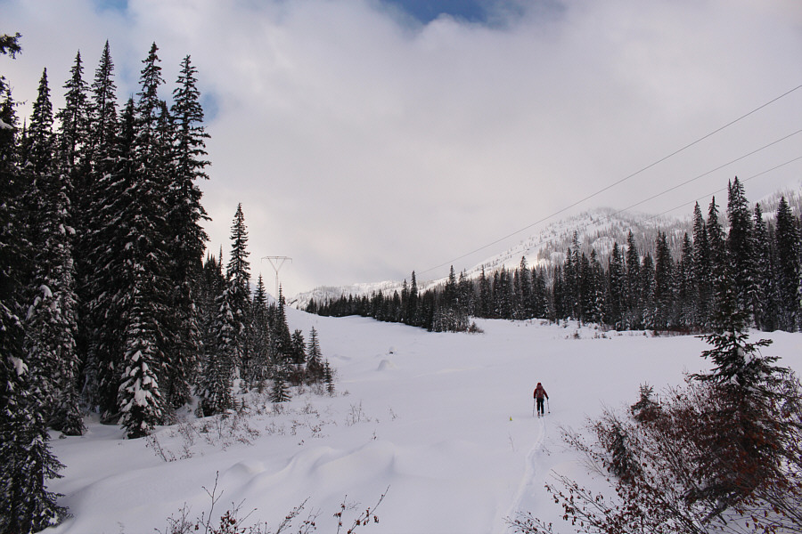 Very gentle climb so far...