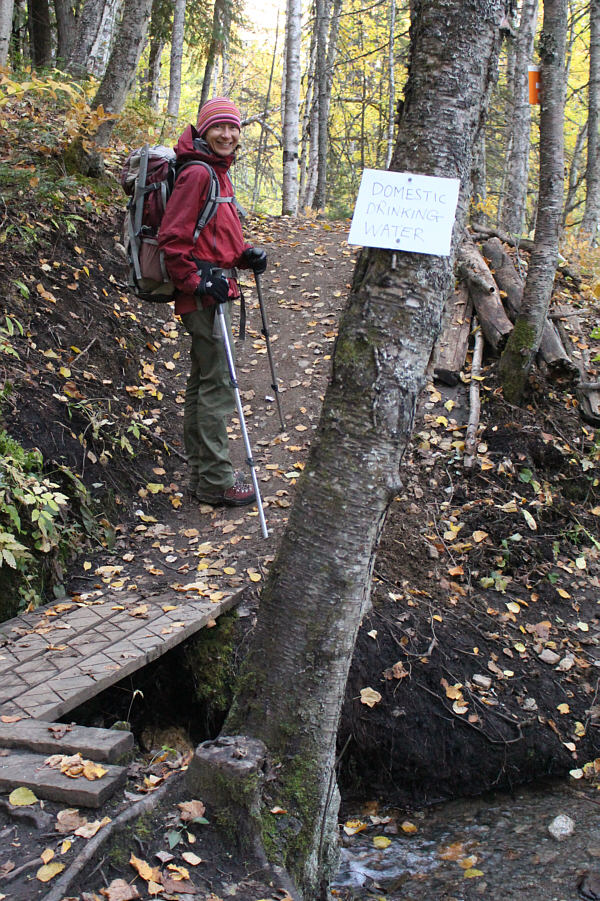 No peeing allowed here!