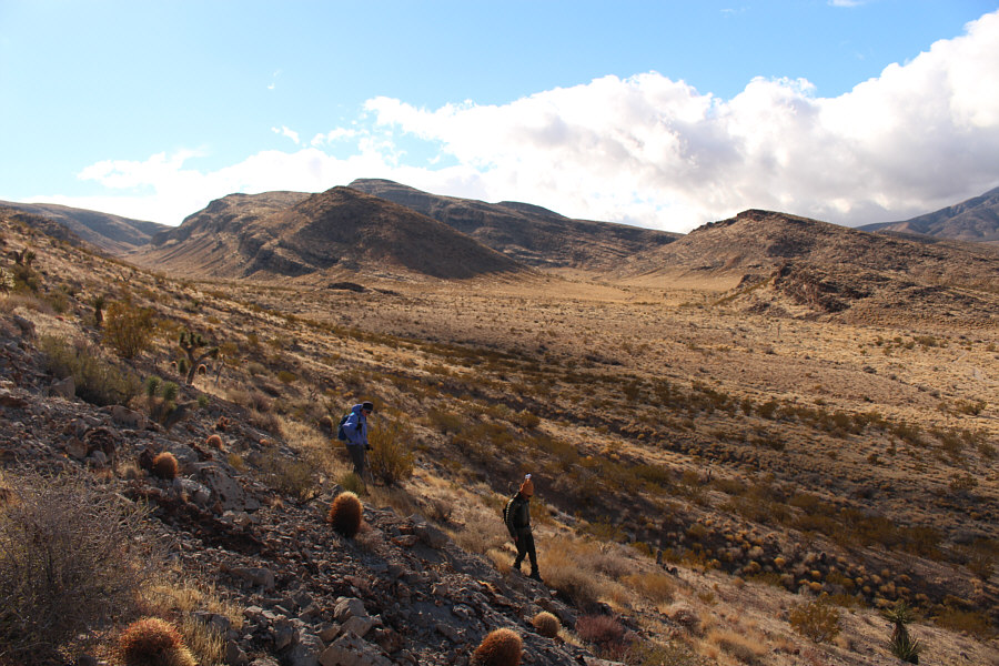 It was a good warm-up though!