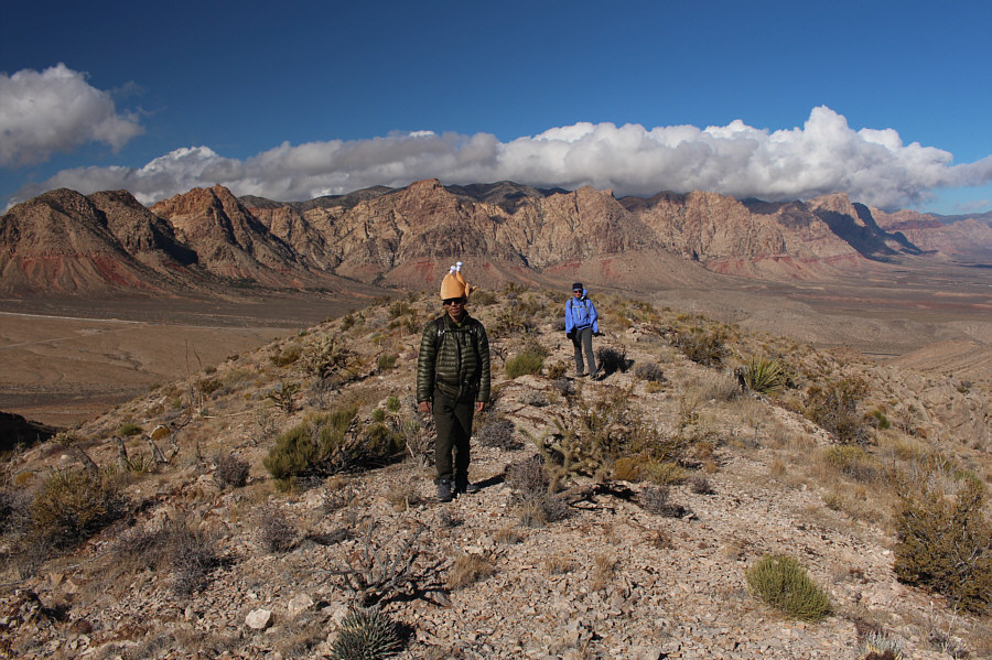 Yes, Shin is wearing a turkey hat! It is American Thanksgiving after all!