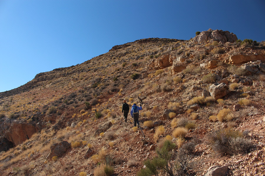 No trails, but the hiking is easy.