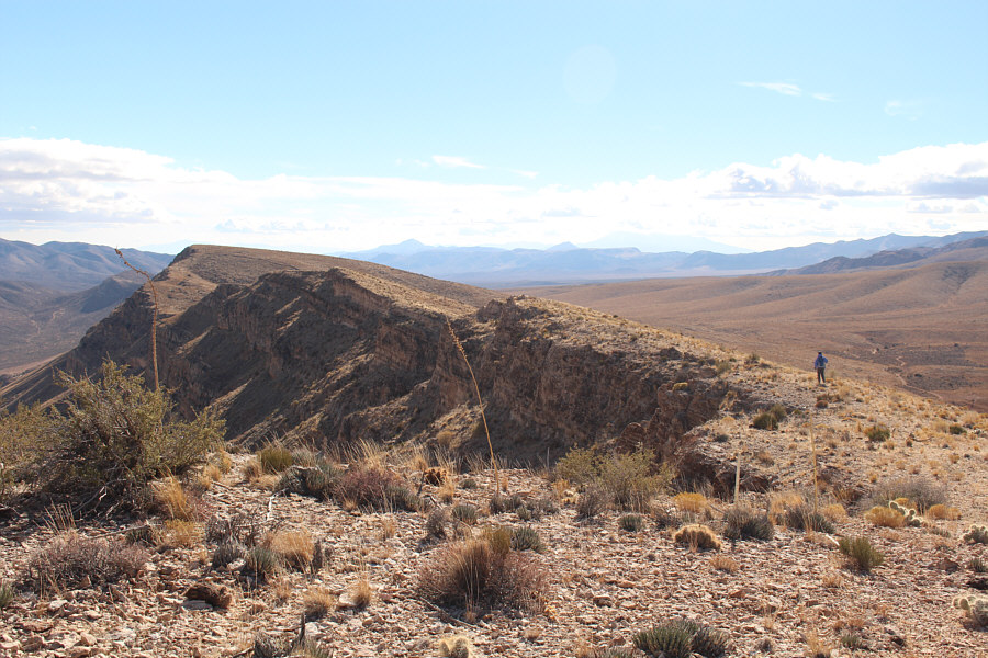 Wow, Dinah still wants to hike some more!
