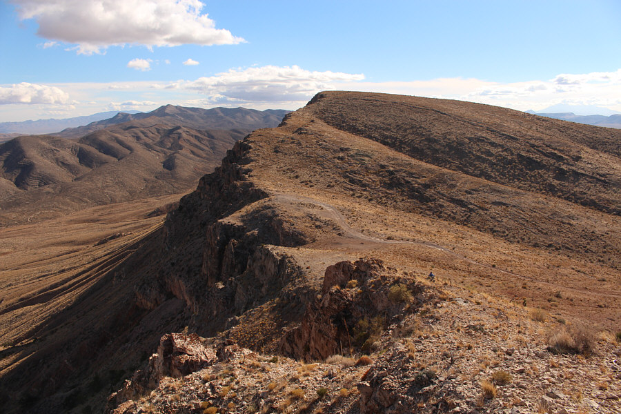 Believe it or not, there are some wild horses in this photo.