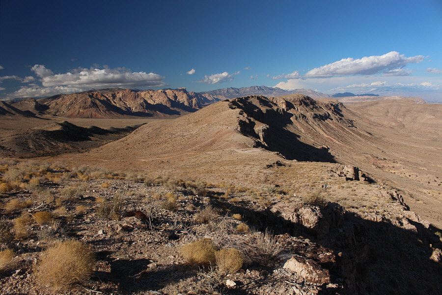 Okay, let's go for lunch!